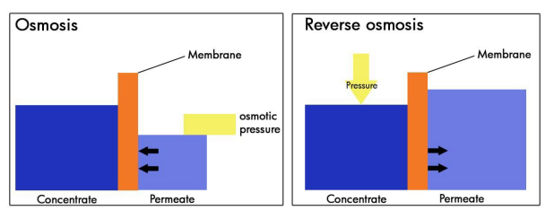 Figure 4: Reverse osmosis