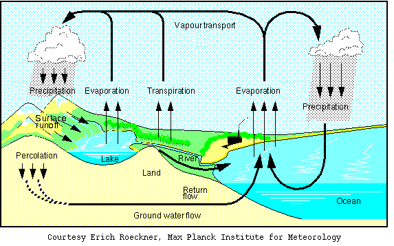 hydrological cycles