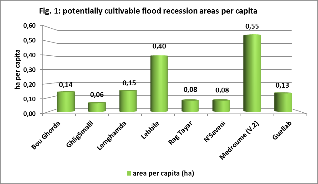 flood recession cropping