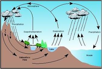 The hydrological cycle in a watershed. Precipitation is the main source of water: it flows through surface and groundwater bodies out of the watershed or is evaporated from surfaces and transpirated by plants