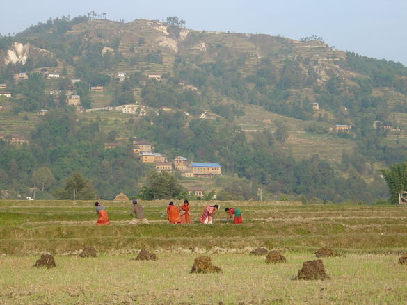 Nepal.JPG