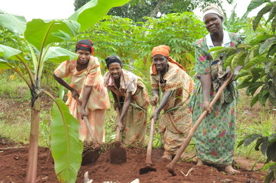 caption Smallholder Farmers Participating in an FAO Project