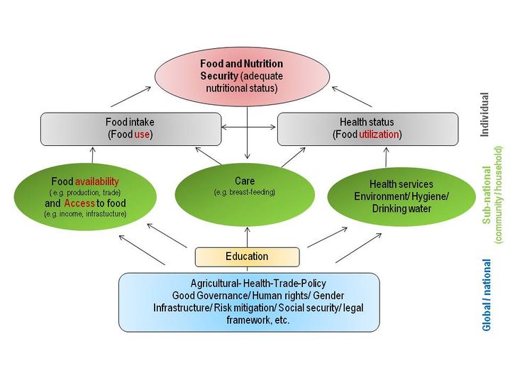 Definition and Dimensions of Food Security 