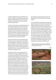 next page →