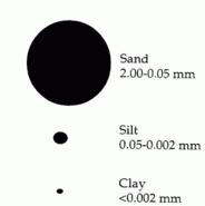 Proportional size of soil particles.png